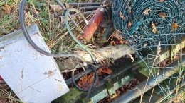 Online aukce:   PLUH