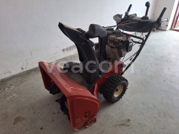 Aukcja internetowa:  TORO 38657