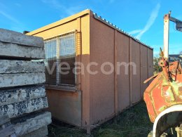 Online aukce:   BUŇKA ŠIROKÁ