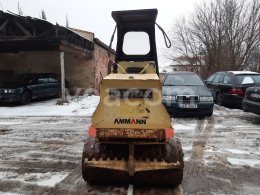 Online auction: RAMMAX  RW 2900