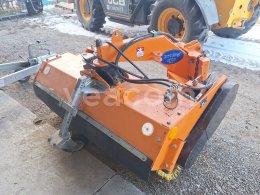 Online auction:   RYBÁŘ ZAR 14