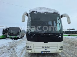 Online auction: MAN  LION S COACH 07