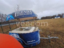 Інтернет-аукціон:   LION