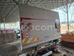 Інтернет-аукціон:   DHOLLANDIA DHLM42