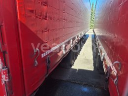 Online auction: KÖGEL  SN 24