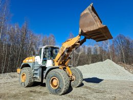 Online auction: LIEBHERR  L 564 4X4