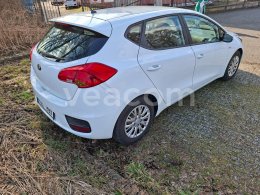 Online aukce: KIA  CEED