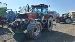 Online aukce: CASE  PUMA 185