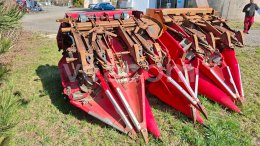 Online aukce:   CAPELLO QUASAR