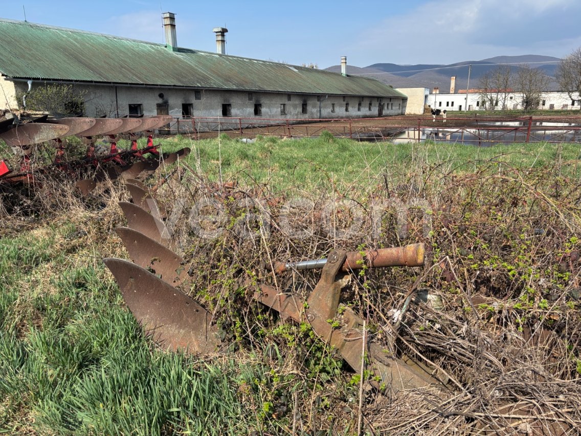 Online aukce:   PLUH