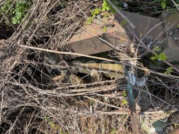 Online aukce:   PLUH