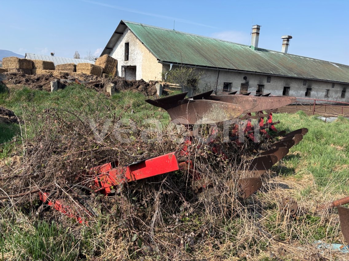 Online aukce:   PLUH