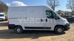 Online aukce: FIAT  DUCATO