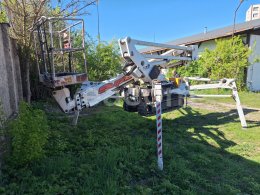 Online aukce:   SUP ELEVANT ELEFANT S19