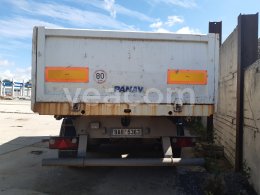 Online auction: PANAV  TS 318