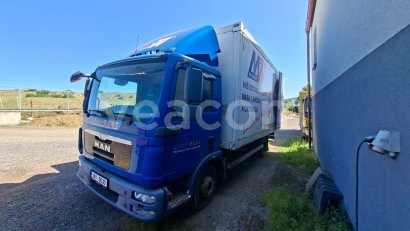 Online árverés: MAN  TGL 12.250 4X2 BL