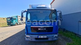 Online aukce: MAN  TGL 12.250 4X2 BL