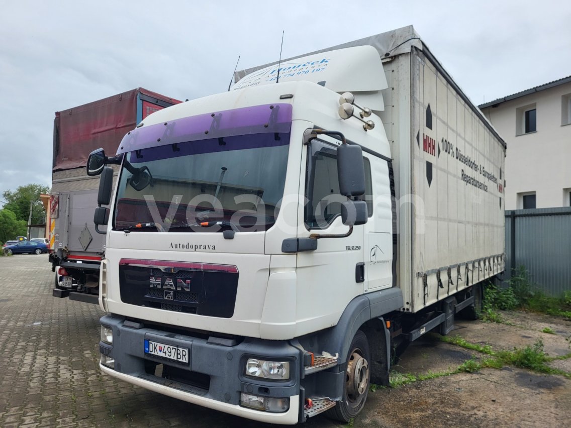 Online aukce: MAN  TGL 12.250 4X2 BL