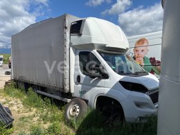Online aukce: FIAT  DUCATO