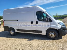 Online aukce: OPEL  MOVANO