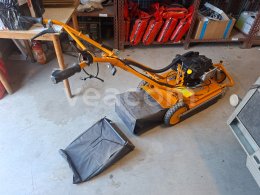 Online aukce:   AS MOTOR VEEDHEX AS 50 MOTOROVÝ ODSTRAŇOVAČ PLEVELE