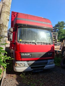 Online aukce: DAF  FA LF 45.220 E12