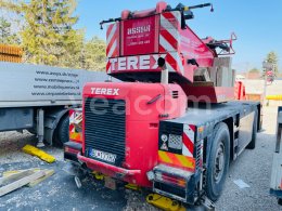 Online aukce: TEREX  DEMAG AC 30CITY