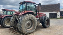 Online aukce: CASE  IH MAGNUM MX 285 4X4