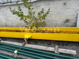 Online aukce:   TIGRIP