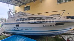 Online aukce:   BAYLINER MOTOROVÝ ČLUN