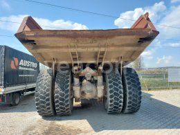 Online auction: TEREX  TR 45