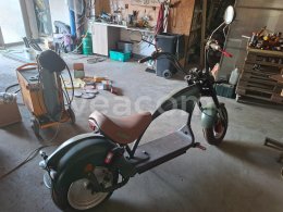 Online aukce:   ECOWHEEL - ELEKTRICKÝ CHOPPER