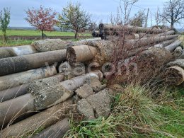 Online aukce:   BETONOVÉ SLOUPY  10KS