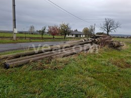Online aukce:  BETONOVÉ SLOUPY 10KS