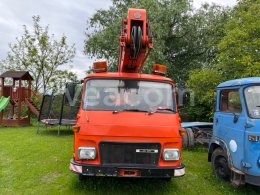 Online auction: AVIA  A31K MP13