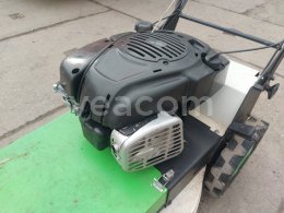 Online auction:   MULČOVACÍ SEKAČKA ETESIA AD 51