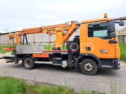 Online aukce: MAN  TGL 8.150 4X2 BB