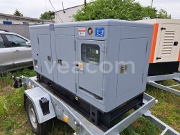 Online auction:   THOUSANDS TREE DP1FF30