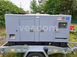 Online auction:   THOUSANDS TREE DP1FF30