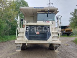 Online auction: TEREX  TR 35