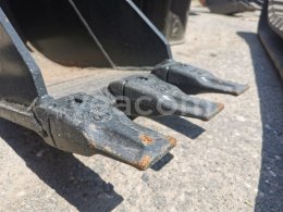 Online árverés:   LŽÍCE - ZUBATÝ PODKOP 30 CM