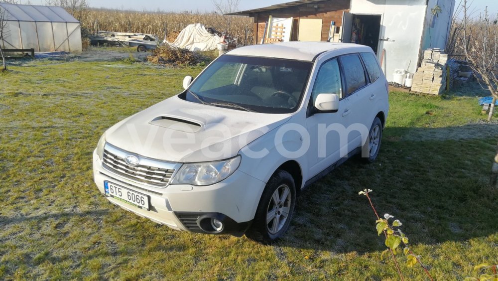 Online aukce: SUBARU  Forester 2.0 TD-E