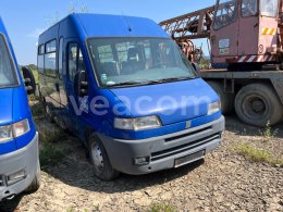 Online árverés: FIAT  DUCATO MINIBUS