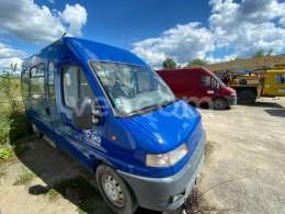 Aukcja internetowa: FIAT  DUCATO MINIBUS