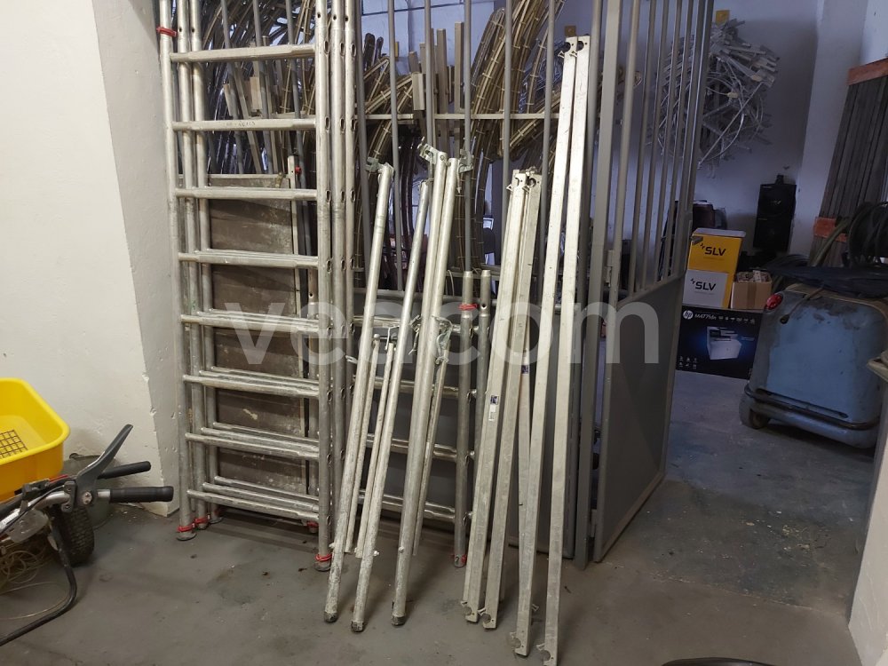 Online auction:  LEŠENÍ